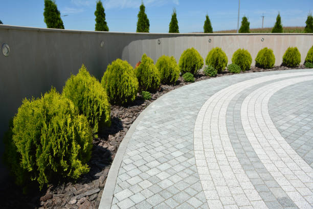 Best Residential Paver Driveway  in Duncanville, TX